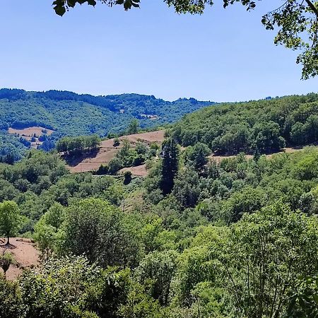 Maison Charmante A Florentin La Capelle Avec Jardin Et Vue Montagne Eksteriør bilde