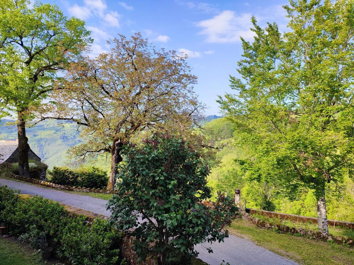 Maison Charmante A Florentin La Capelle Avec Jardin Et Vue Montagne Eksteriør bilde